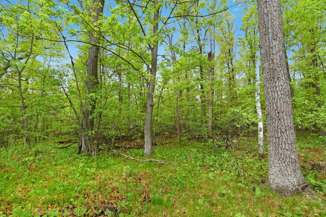 Xxx Maplewood Drive Brainerd, MN 56401 - Photo 11 of 23