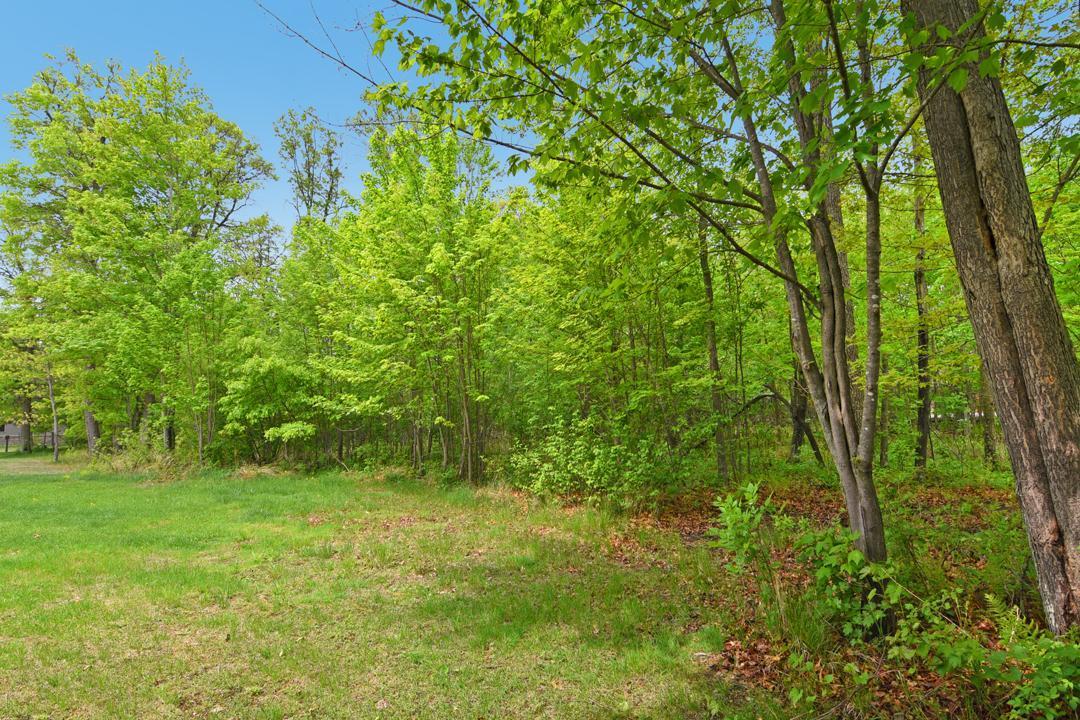 Xxx Maplewood Drive Brainerd, MN 56401 - Photo 12 of 23