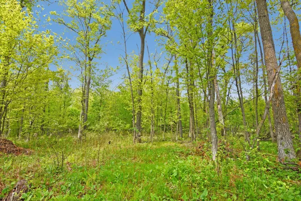 $150,000 | Xxx Maplewood Drive, Brainerd, MN 56401