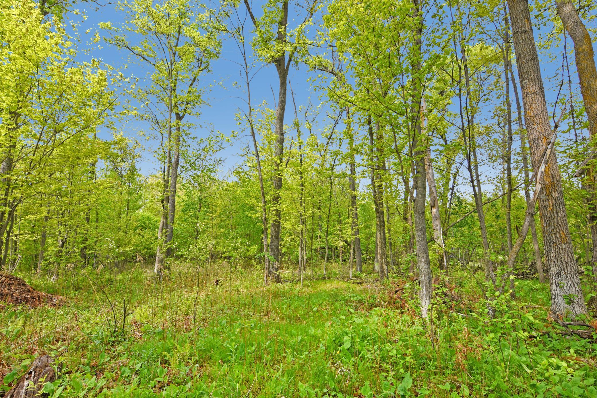 Xxx Maplewood Drive Brainerd, MN 56401 - Photo 13 of 23