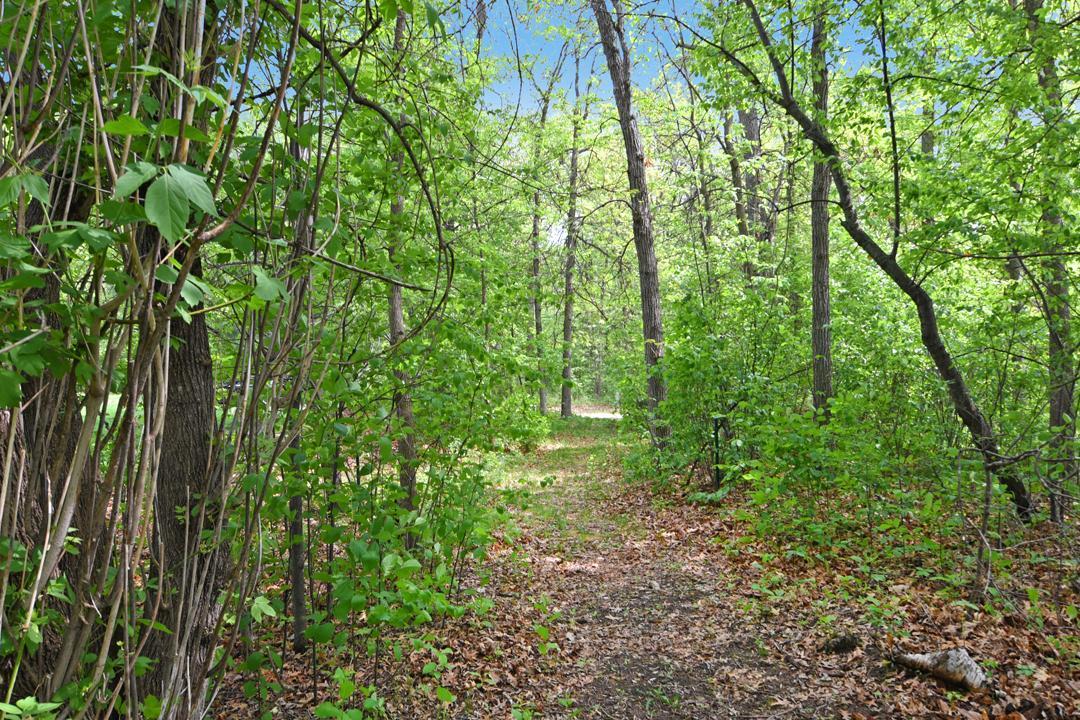 Xxx Maplewood Drive Brainerd, MN 56401 - Photo 21 of 23