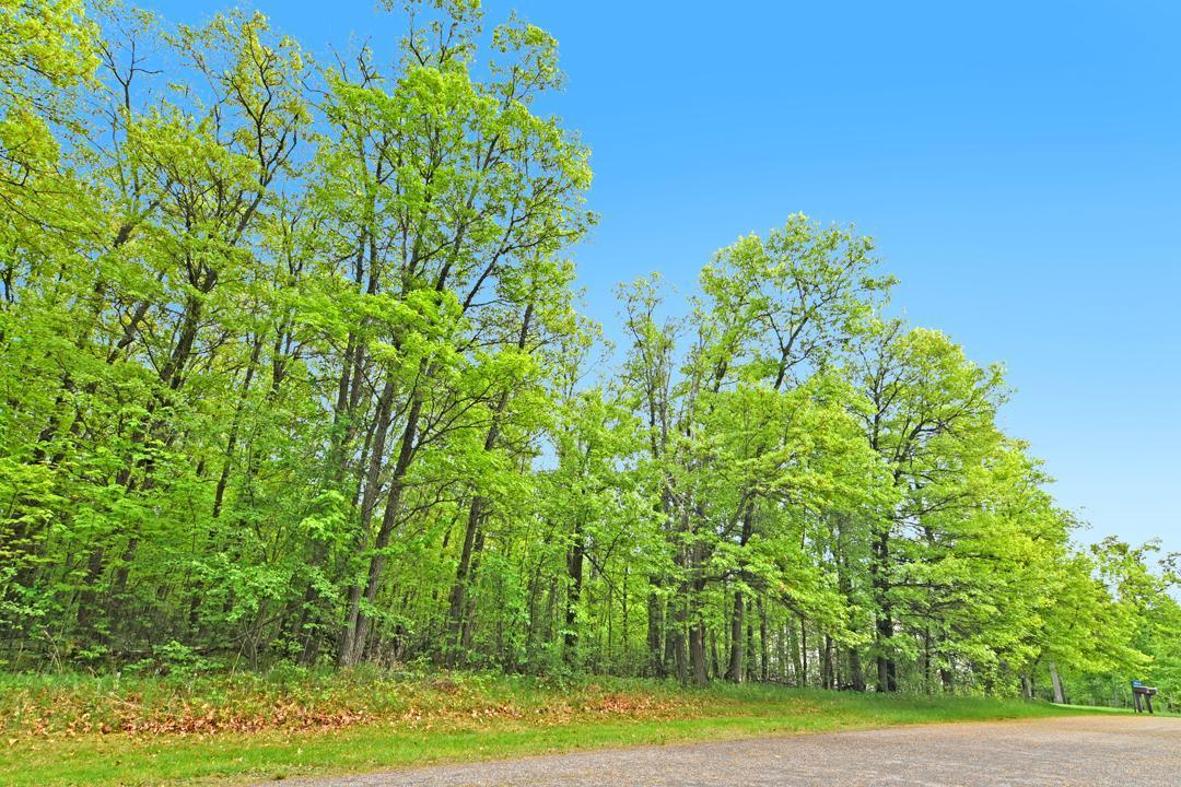 Xxx Maplewood Drive Brainerd, MN 56401 - Photo 6 of 23