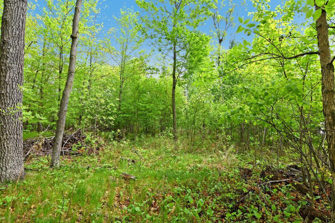 Xxx Maplewood Drive Brainerd, MN 56401 - Photo 9 of 23