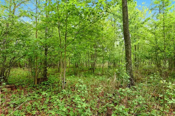 $150,000 | Xxx Maplewood Drive, Brainerd, MN 56401