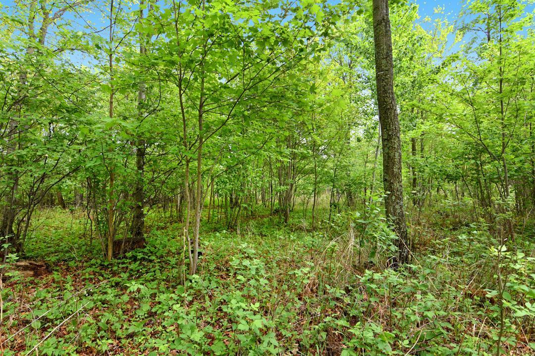 Xxx Maplewood Drive Brainerd, MN 56401 - Photo 10 of 23