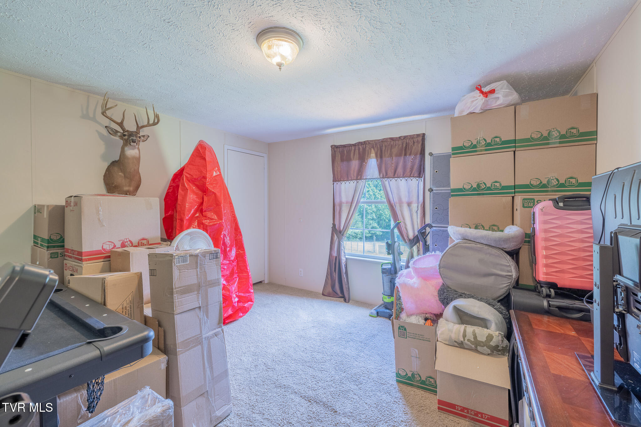 1070 Bill Martin Road Afton, TN 37616 - Photo 23 of 33 1R9A5712-HDR