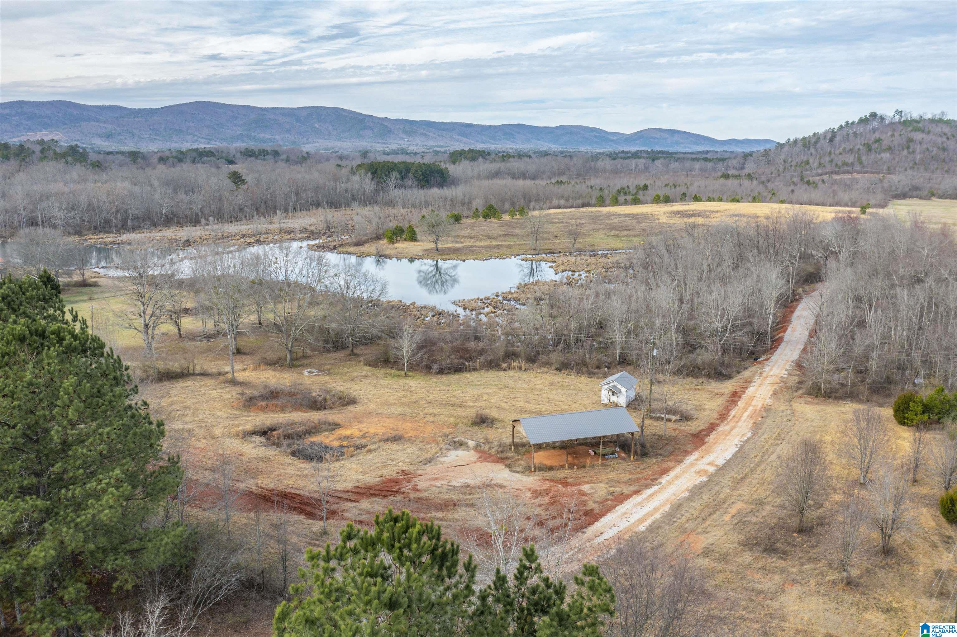 1619 Old Downing Ml Road, Unit 40 03 ACRES Anniston, AL 36207 - Photo 4 of 29