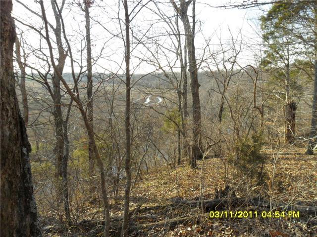 0 Port Royal Road Adams, TN 37010 - Photo 3 of 6