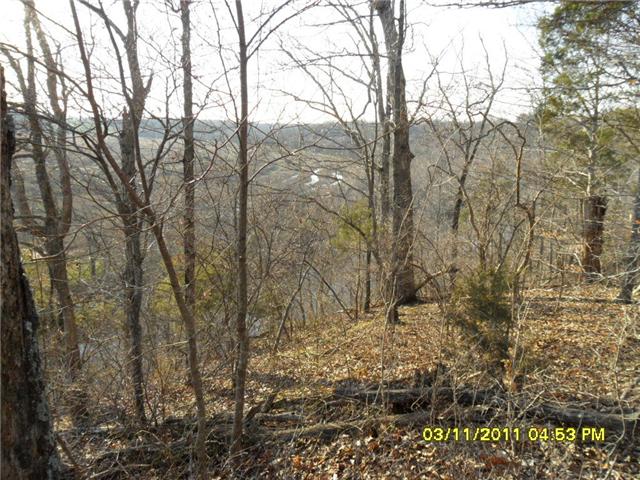 0 Port Royal Road Adams, TN 37010 - Photo 4 of 6