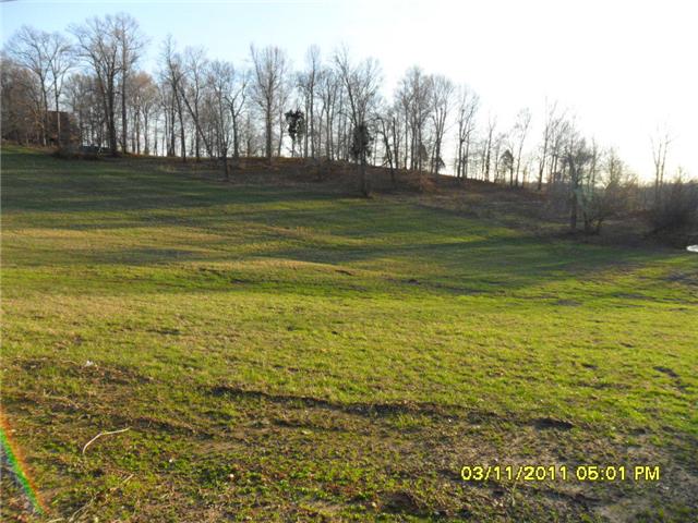 0 Port Royal Road Adams, TN 37010 - Photo 5 of 6