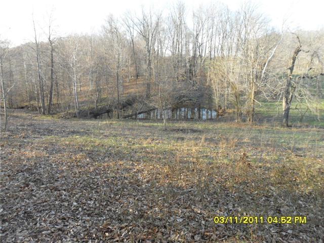 0 Port Royal Road Adams, TN 37010 - Photo 6 of 6