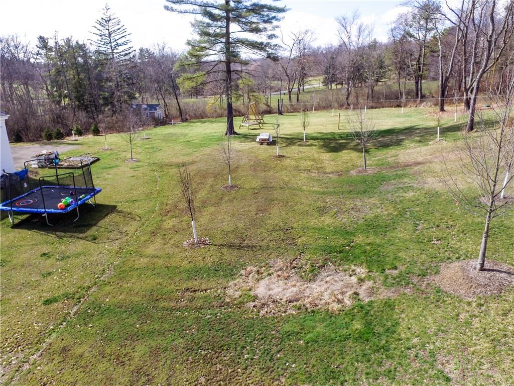 815 Fox Chapel Road Fox Chapel, PA 15238 - Photo 24 of 25 Views of the 4.8 acres shows the one area of the newly planed trees that will provide even more privacy for the property.