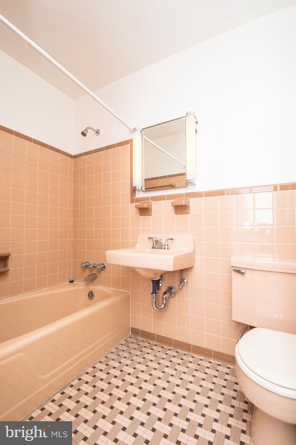 507 Evergreen Mills Road Leesburg, VA 20175 - Photo 33 of 43 Bathroom 2