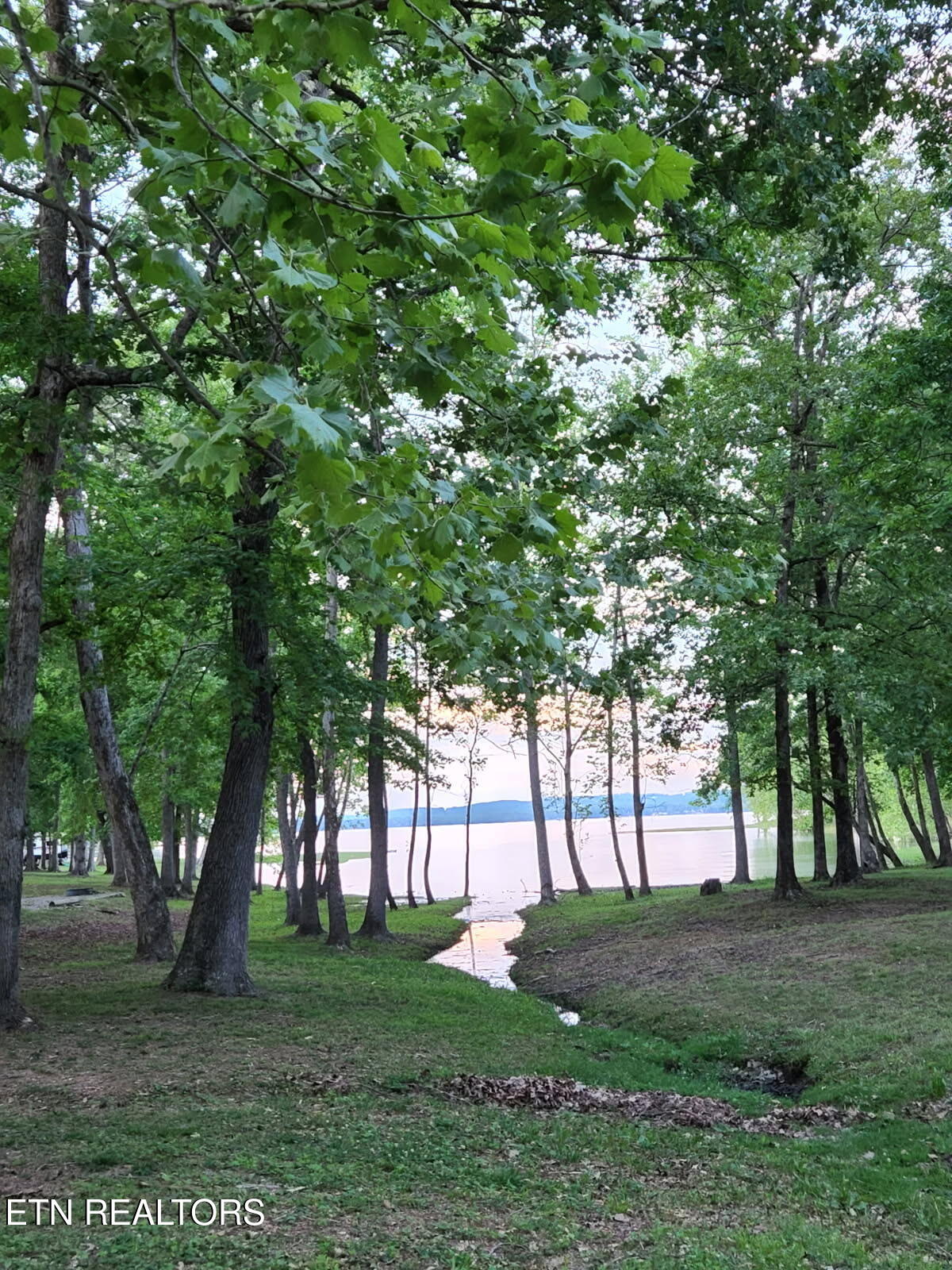 103 Scott Subdivision Road Ten Mile, TN 37880 - Photo 48 of 49 image000000 (10)