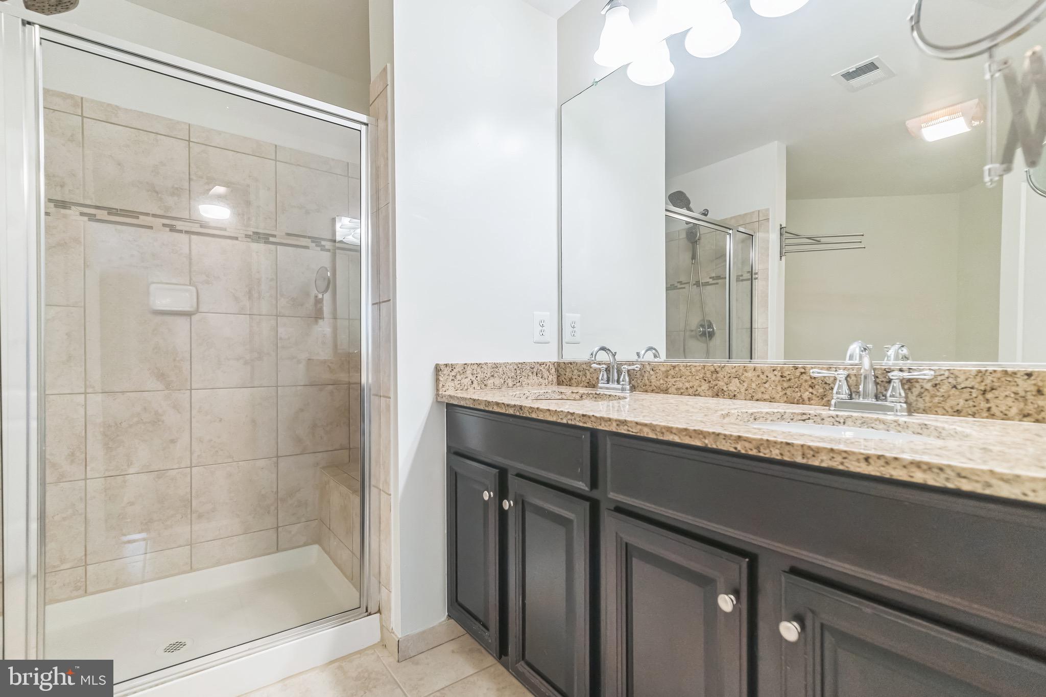 42385 Trellis Square Brambleton, VA 20148 - Photo 21 of 28 a bathroom with a granite countertop sink a mirror and a shower