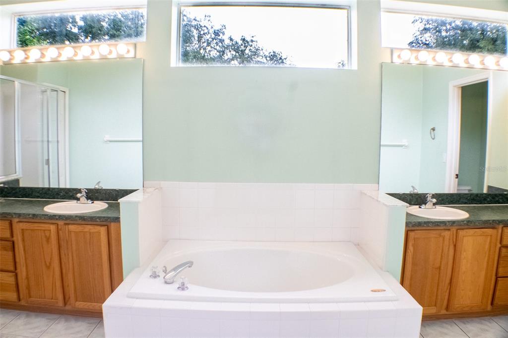 601 Shady Point Way Deland, FL 32724 - Photo 20 of 33 a bathroom with a bathtub and a window