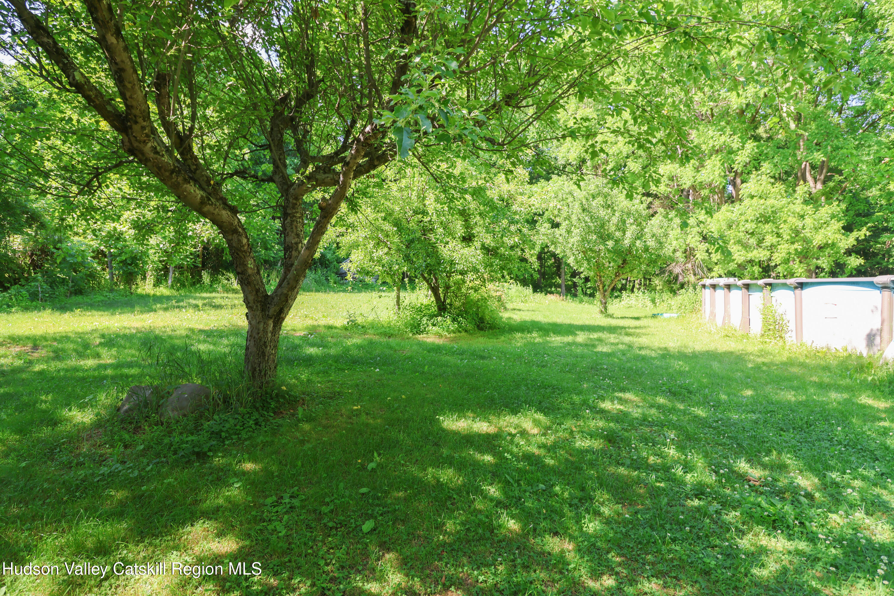 4320 Highway 209 Stone Ridge, NY 12484 - Photo 57 of 63 3D2A2632 copy