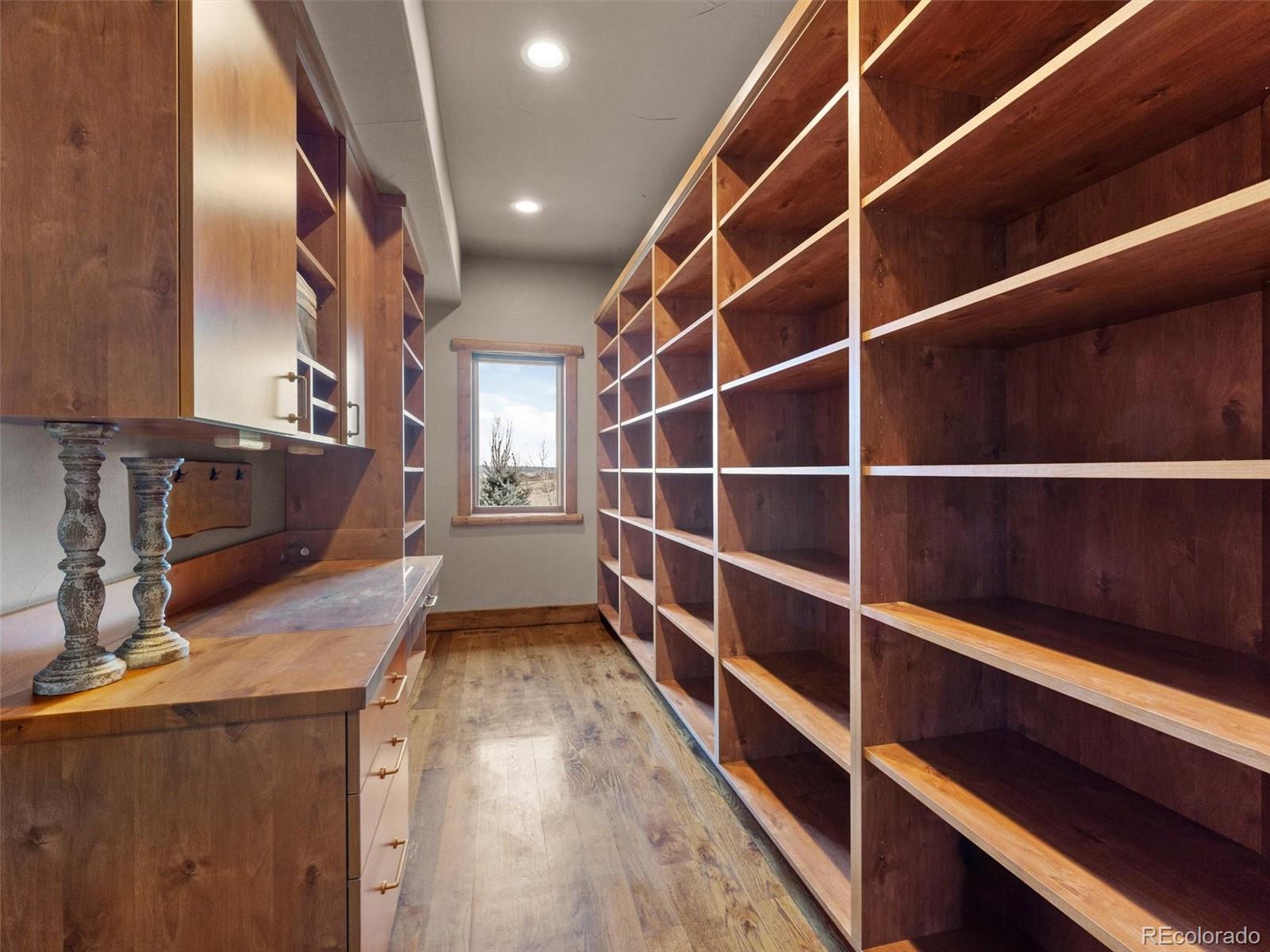 934 South Perry Park Road Sedalia, CO 80135 - Photo 30 of 48 a view of walk in closet and window