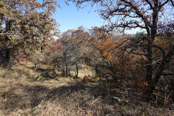 $314,750 | 34.02 Highway 36 Comanche Tx 76442, Comanche, TX 76442