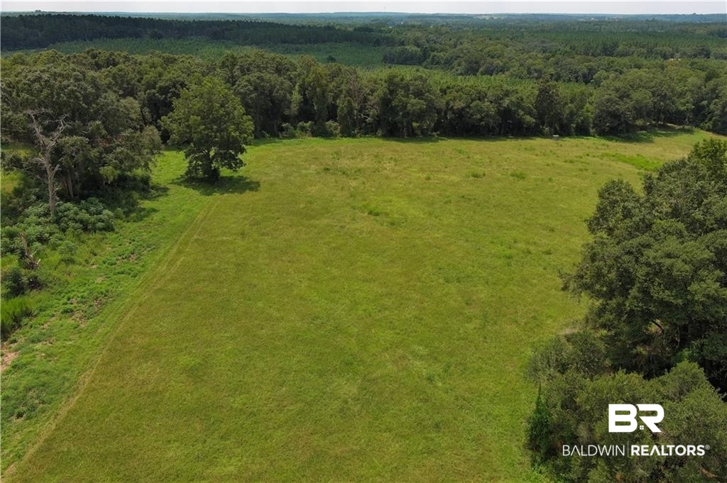 0 Circle R Farm Drive Florala, AL 36442 - Photo 17 of 25