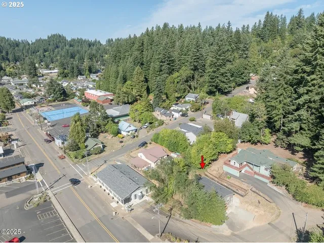 an aerial view of residential house with outdoor space