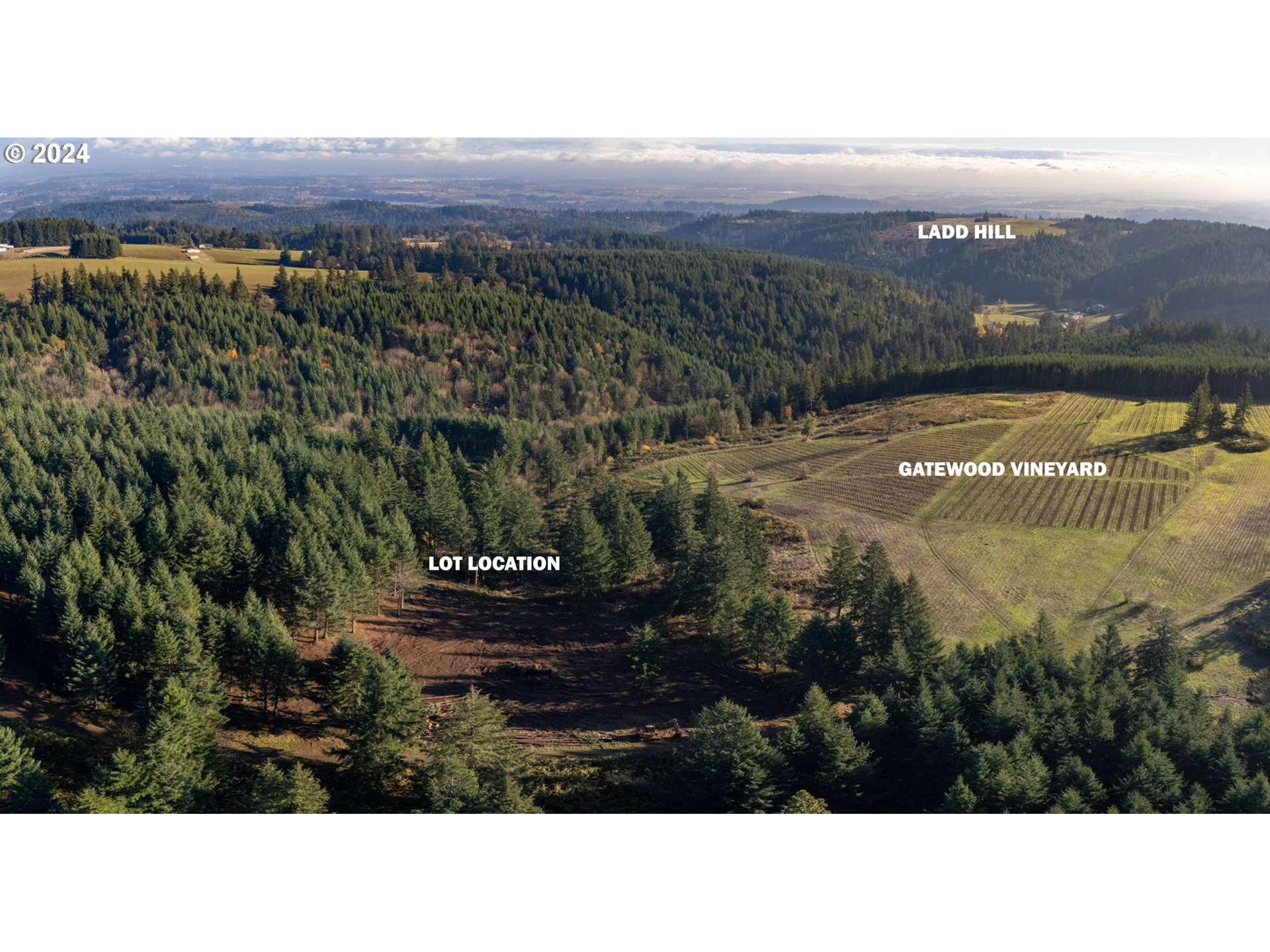 0 Northeast Old Parrett Mountain Road Newberg, OR 97132 - Photo 2 of 48 a view of a city