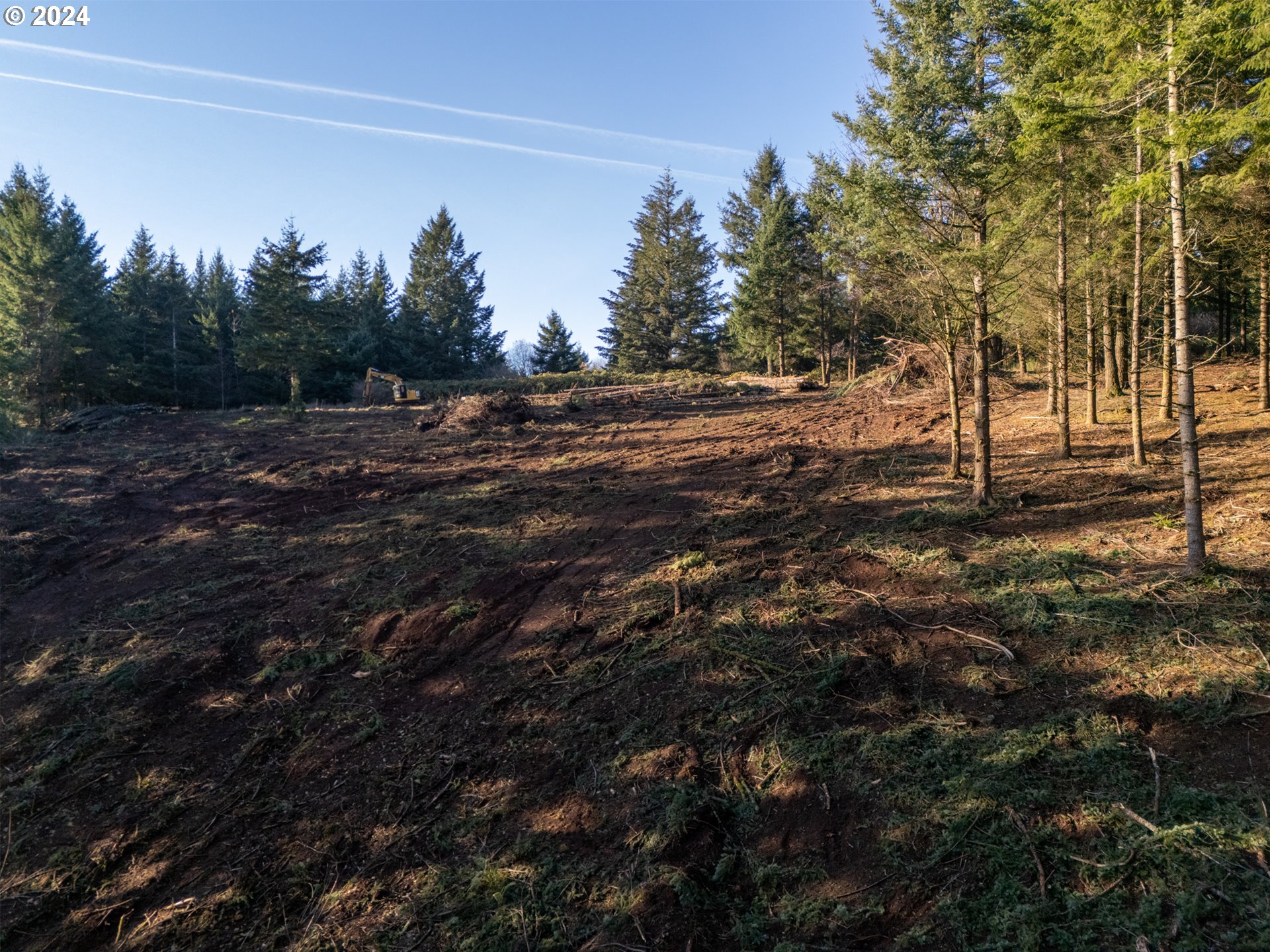 0 Northeast Old Parrett Mountain Road Newberg, OR 97132 - Photo 25 of 48 a view of a forest with trees