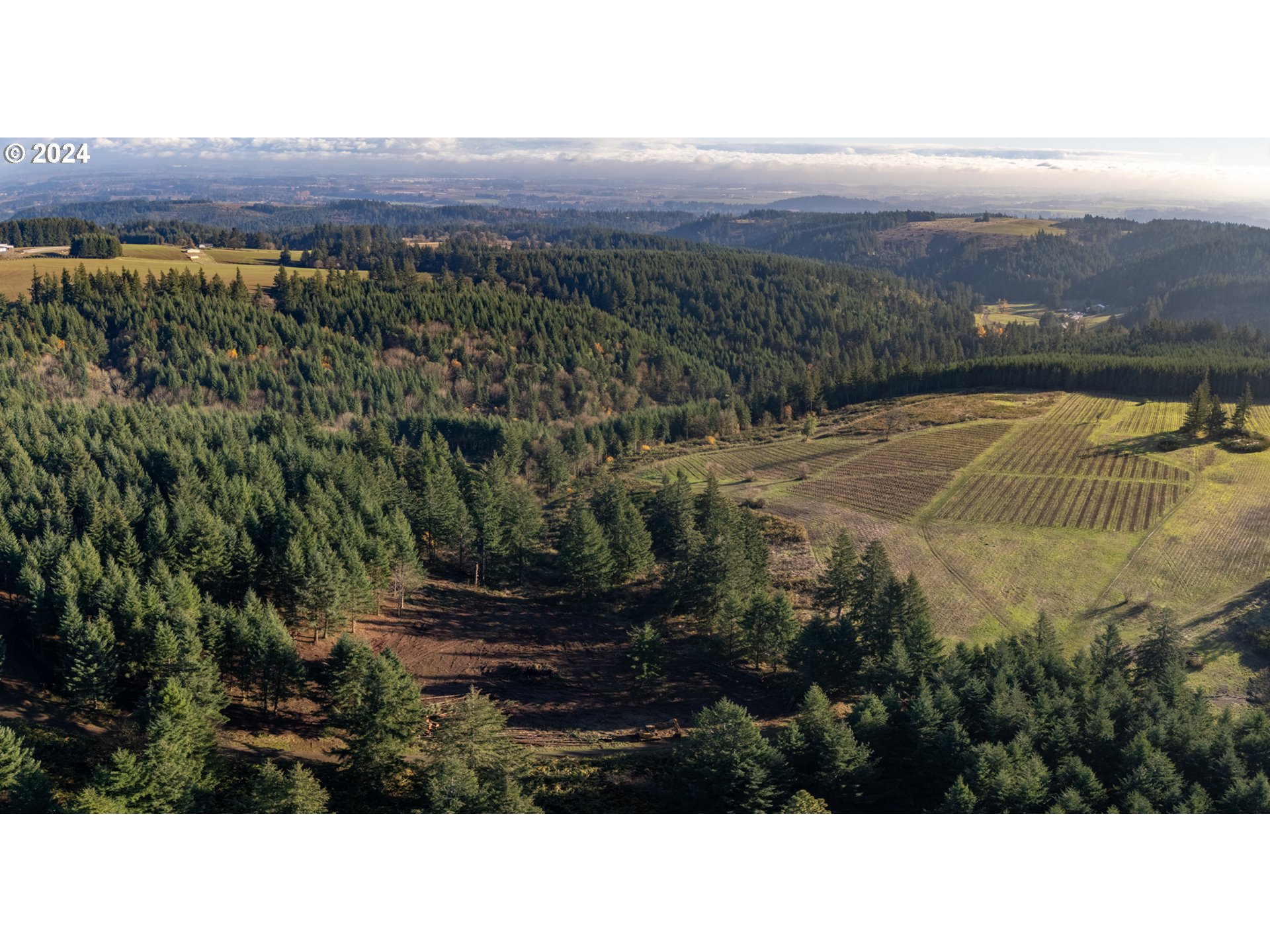 0 Northeast Old Parrett Mountain Road Newberg, OR 97132 - Photo 26 of 48 a black and white photo of a house