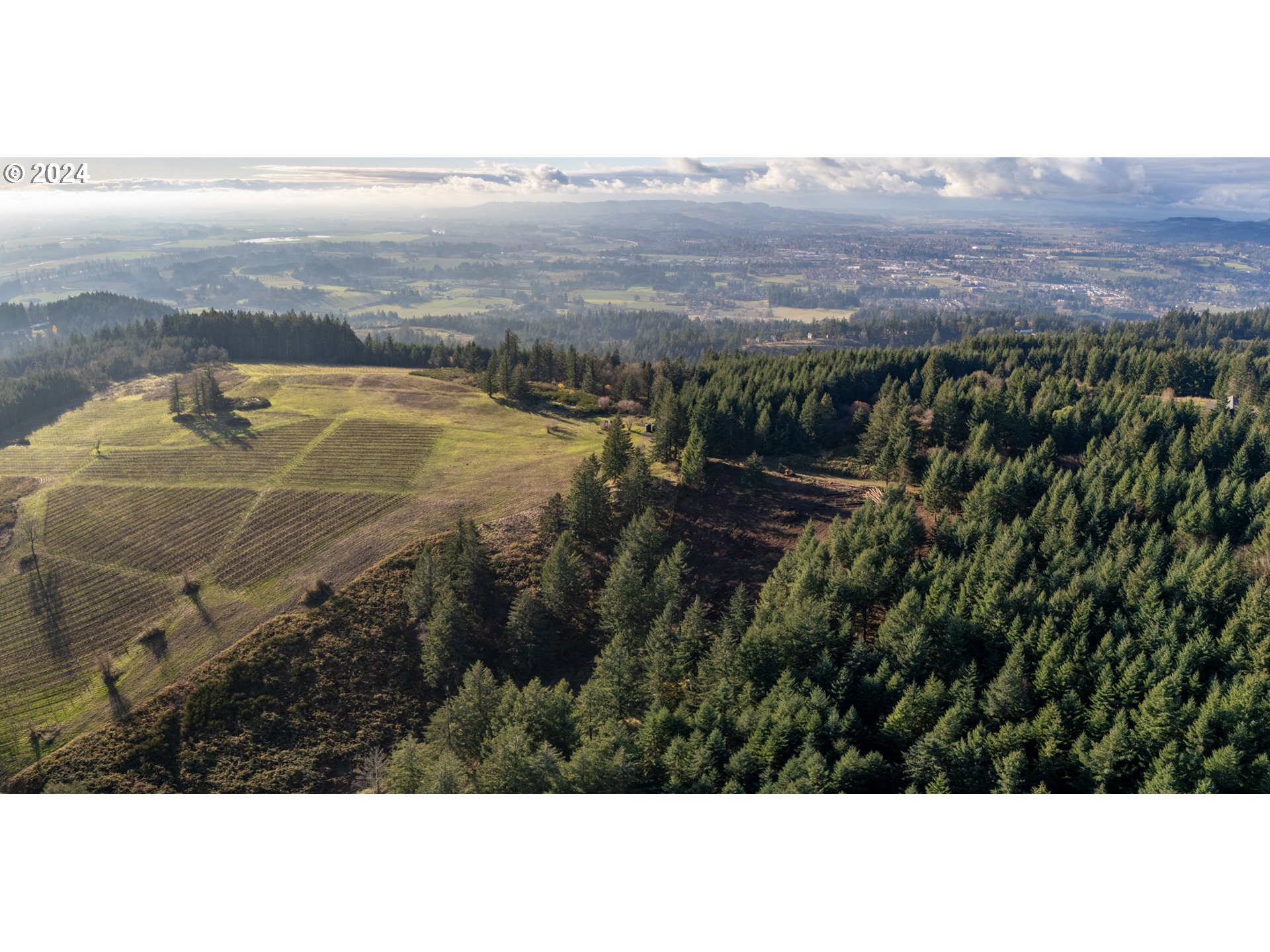 0 Northeast Old Parrett Mountain Road Newberg, OR 97132 - Photo 28 of 48 a view of an outdoor space and mountain view