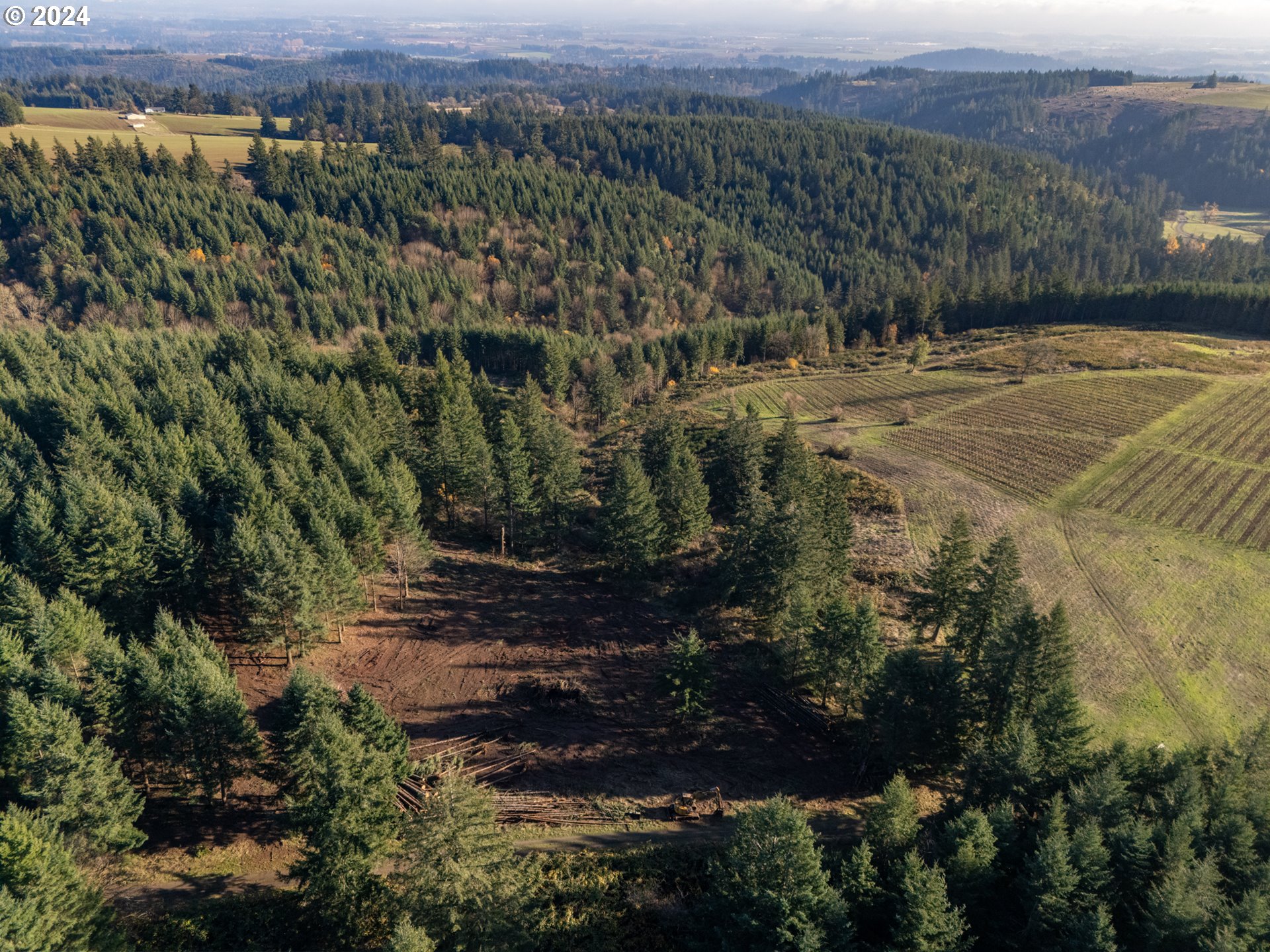0 Northeast Old Parrett Mountain Road Newberg, OR 97132 - Photo 29 of 48 a view of a houses with a yard