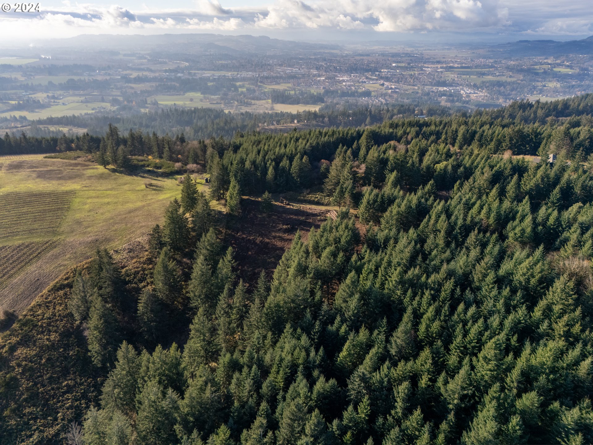 0 Northeast Old Parrett Mountain Road Newberg, OR 97132 - Photo 30 of 48 a view of a lake with a mountain in the background