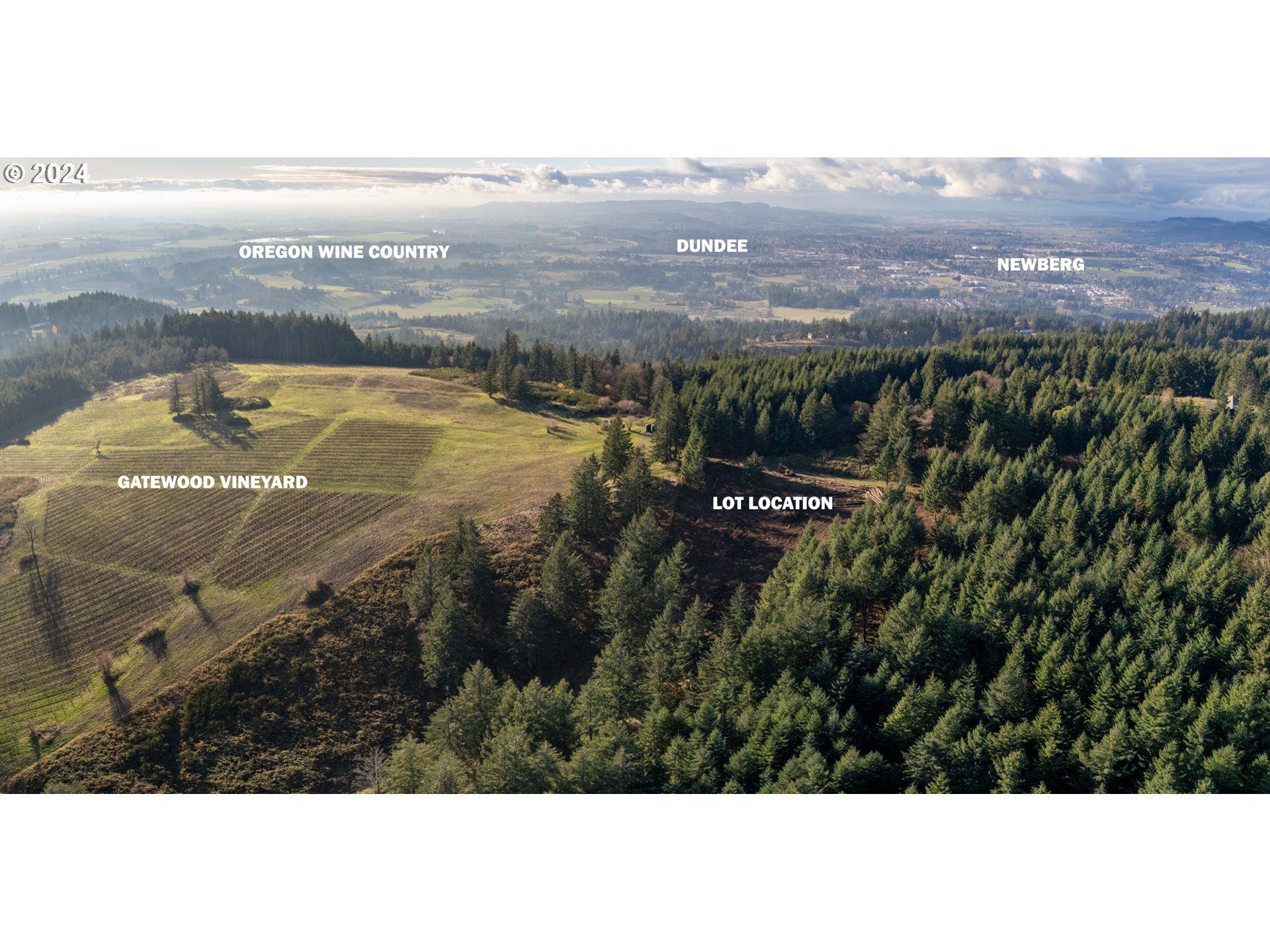 0 Northeast Old Parrett Mountain Road Newberg, OR 97132 - Photo 3 of 48 a view of a city