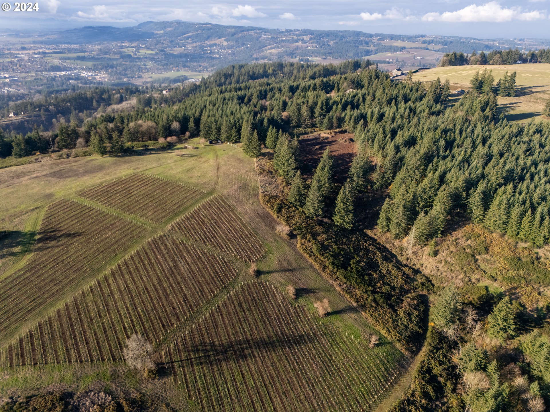 0 Northeast Old Parrett Mountain Road Newberg, OR 97132 - Photo 31 of 48 a view of a city