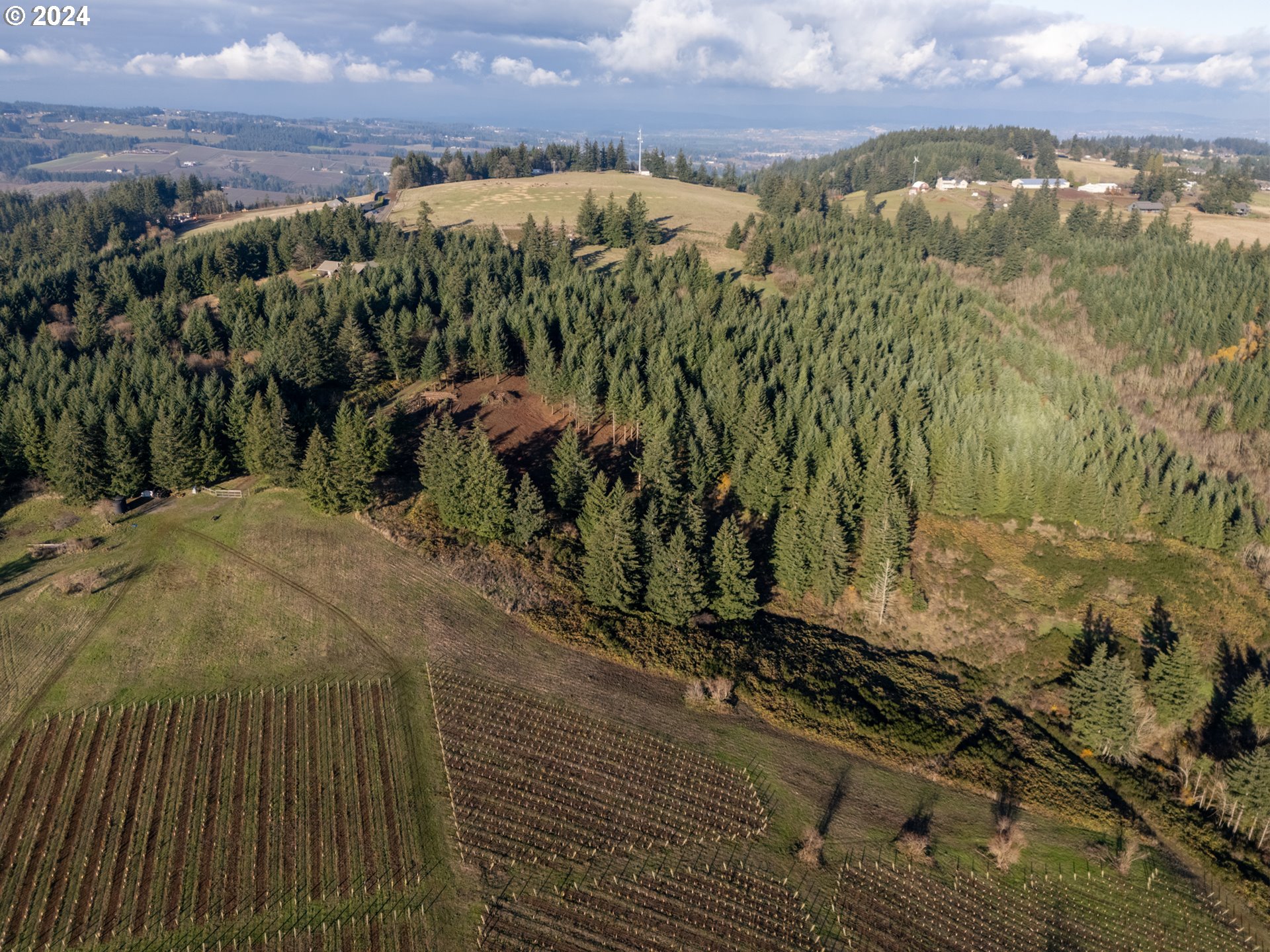 0 Northeast Old Parrett Mountain Road Newberg, OR 97132 - Photo 32 of 48 a view of a lake