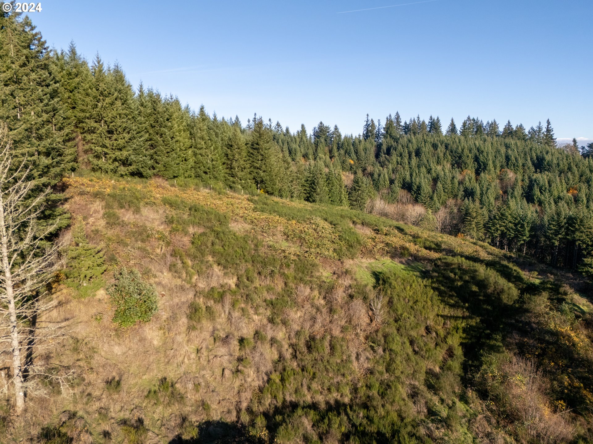 0 Northeast Old Parrett Mountain Road Newberg, OR 97132 - Photo 35 of 48 a view of a field with trees in the background