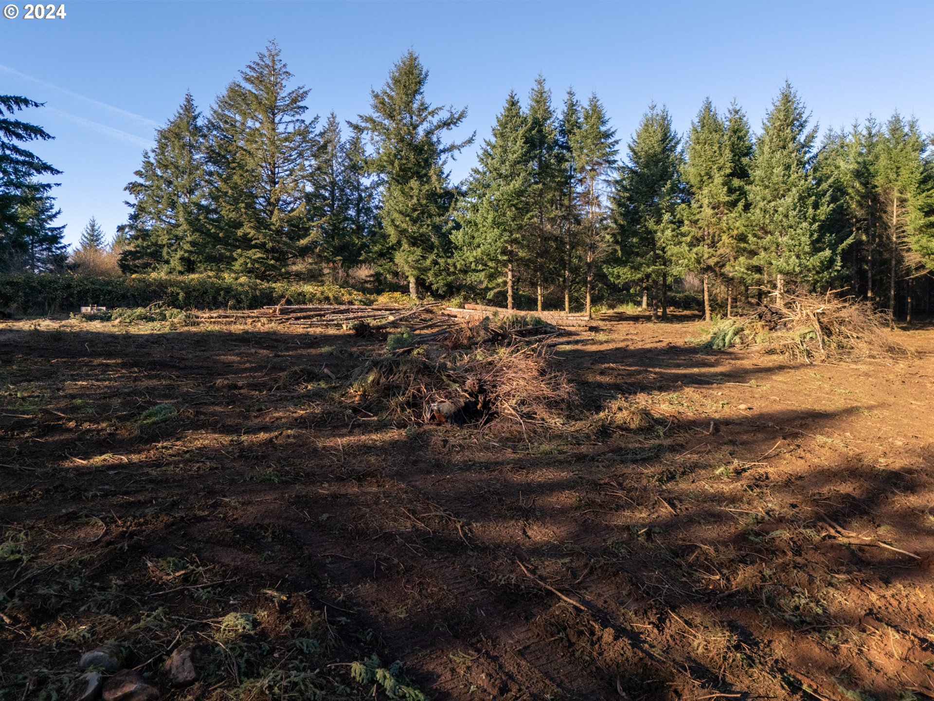 0 Northeast Old Parrett Mountain Road Newberg, OR 97132 - Photo 37 of 48 a view of dirt yard with trees