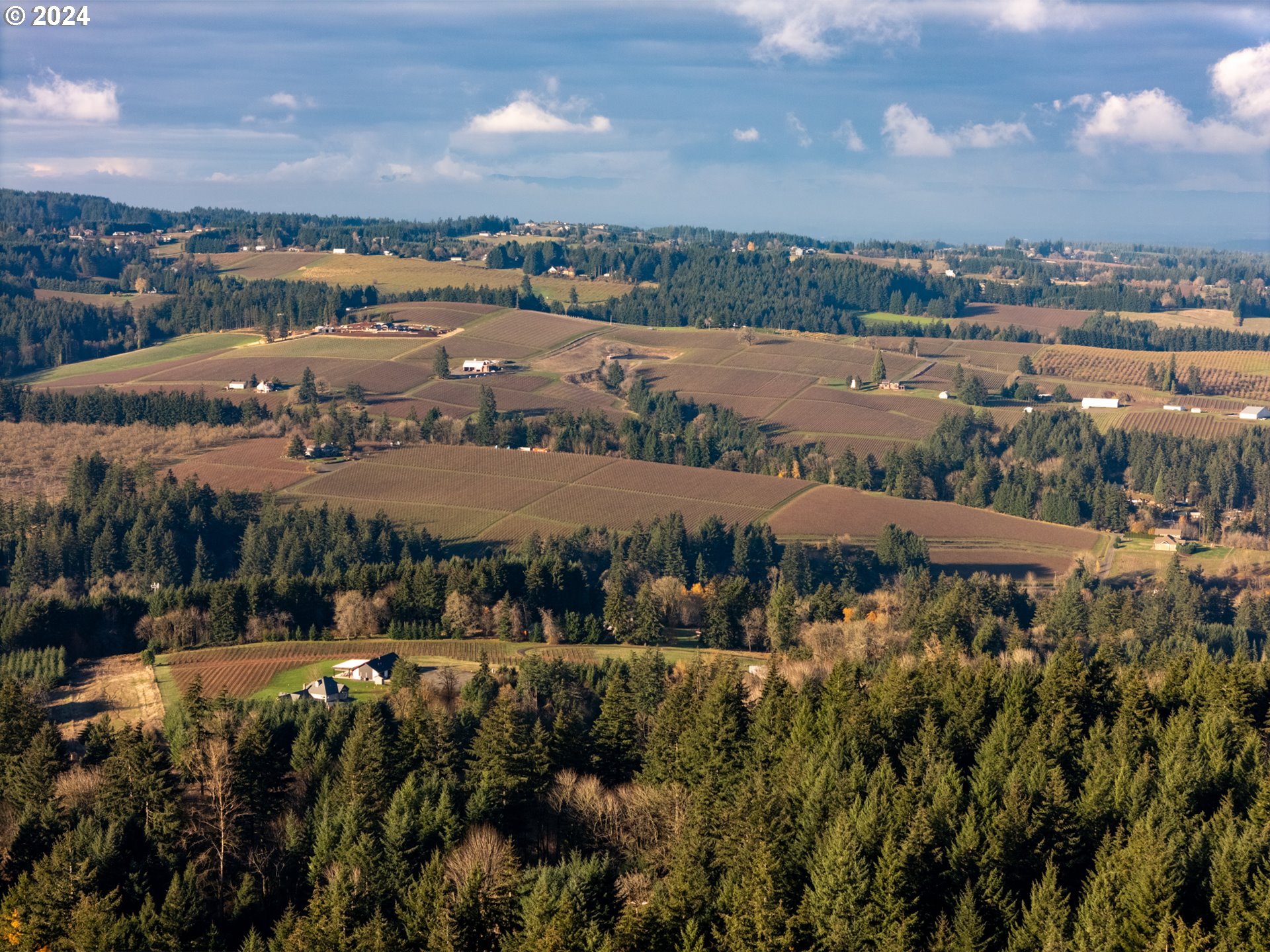 0 Northeast Old Parrett Mountain Road Newberg, OR 97132 - Photo 38 of 48