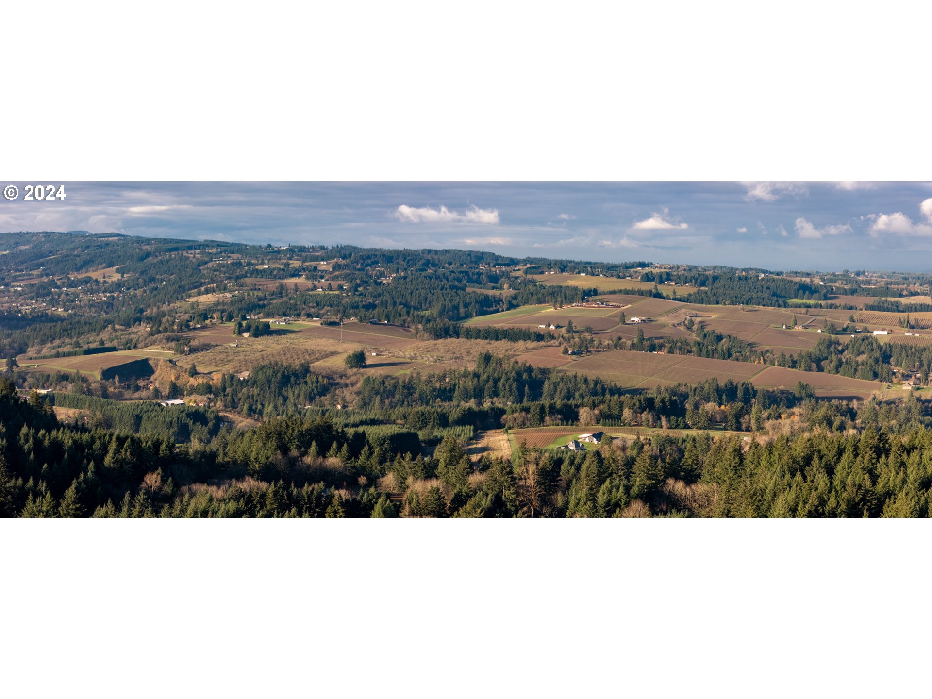 0 Northeast Old Parrett Mountain Road Newberg, OR 97132 - Photo 39 of 48 a picture of city view and mountain view