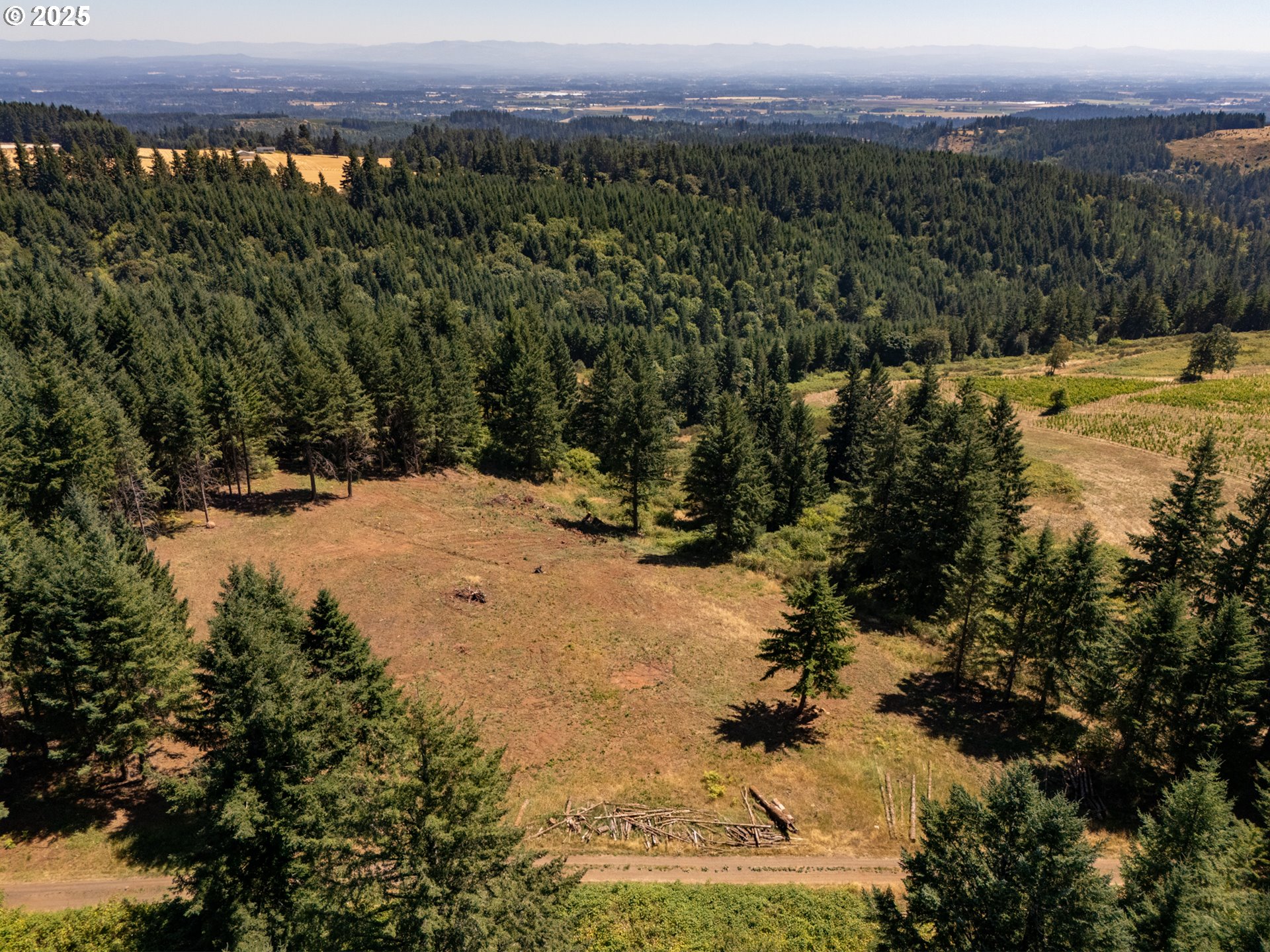 0 Northeast Old Parrett Mountain Road Newberg, OR 97132 - Photo 43 of 48 a view of a yard with a lake view