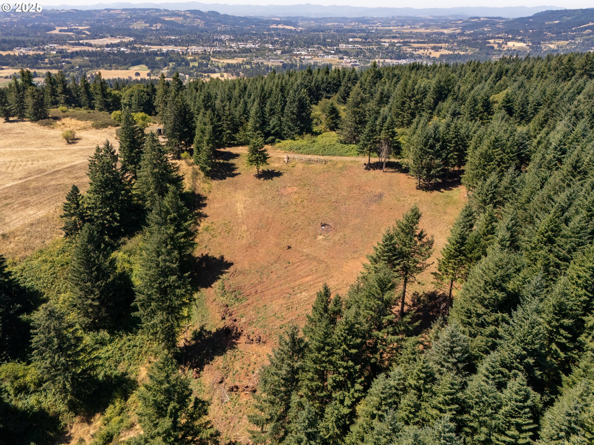 0 Northeast Old Parrett Mountain Road Newberg, OR 97132 - Photo 44 of 48 a view of a lake with mountain