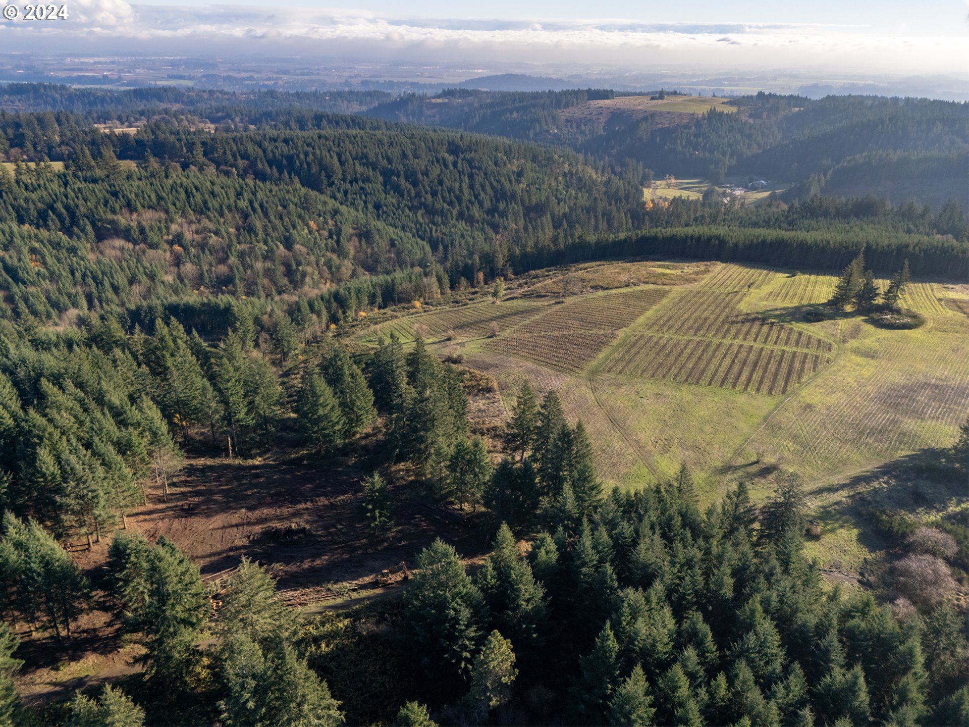0 Northeast Old Parrett Mountain Road Newberg, OR 97132 - Photo 5 of 48