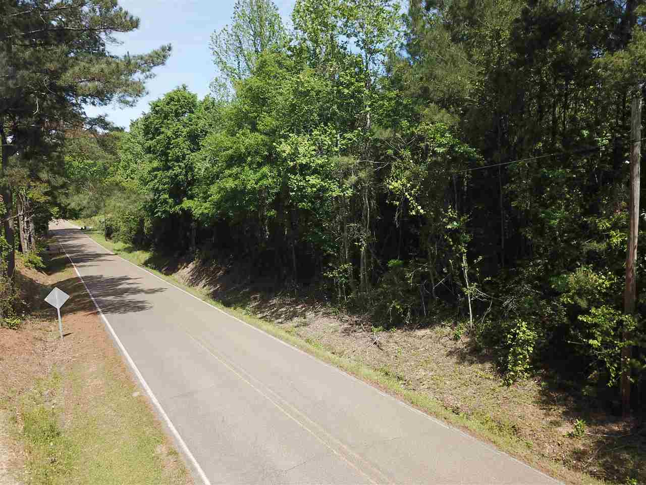 415 Seventh Day Road Florence, MS 39073 - Photo 5 of 21 Photo 5
