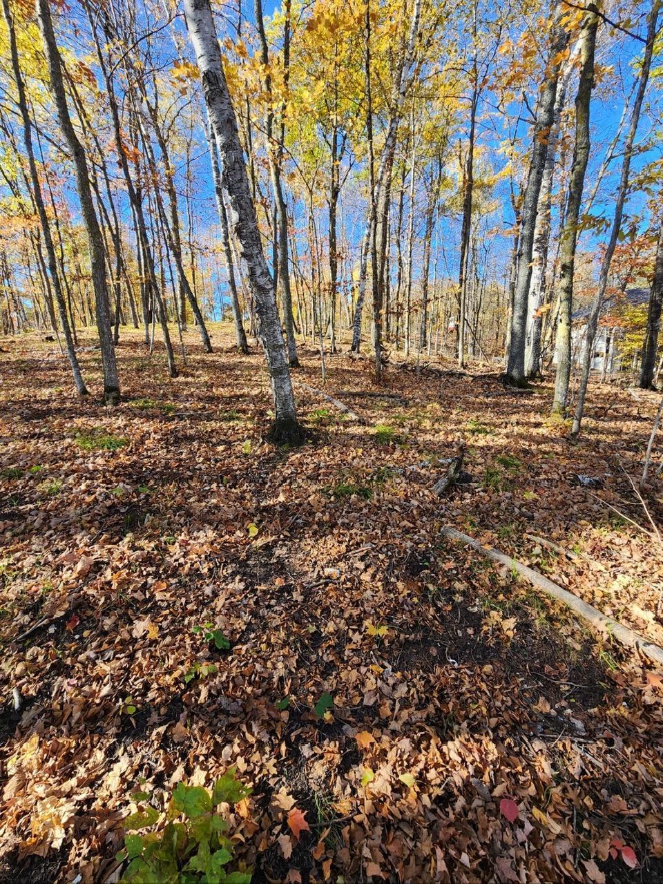 Lot 7 Southwest Pickerel Lake Road Detroit Lakes, MN 56501 - Photo 8 of 11