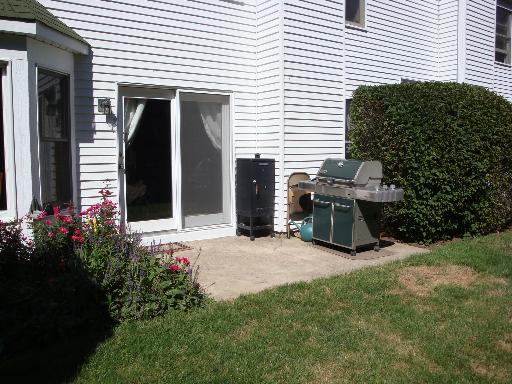 223 Spring Point Drive Carpentersville, IL 60110 - Photo 11 of 16
