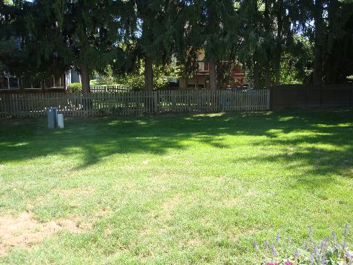 223 Spring Point Drive Carpentersville, IL 60110 - Photo 13 of 16
