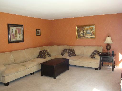 223 Spring Point Drive Carpentersville, IL 60110 - Photo 3 of 16