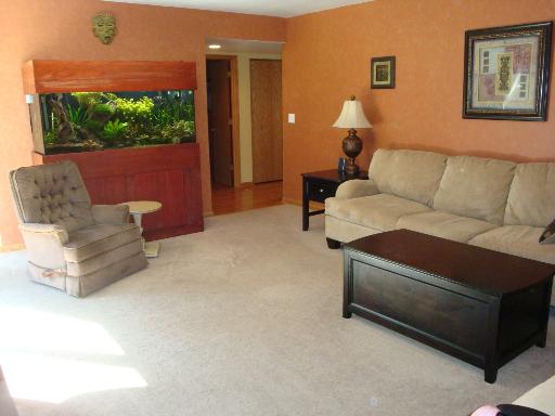 223 Spring Point Drive Carpentersville, IL 60110 - Photo 4 of 16
