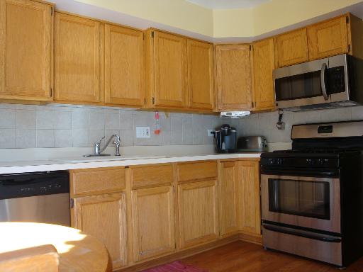 223 Spring Point Drive Carpentersville, IL 60110 - Photo 6 of 16