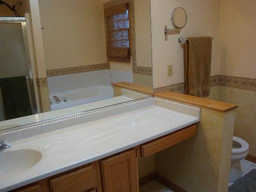 223 Spring Point Drive Carpentersville, IL 60110 - Photo 8 of 16