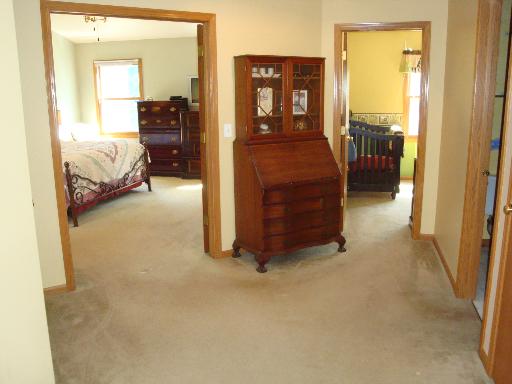 223 Spring Point Drive Carpentersville, IL 60110 - Photo 10 of 16